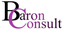 baron-consult.de